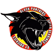 logo black panthers