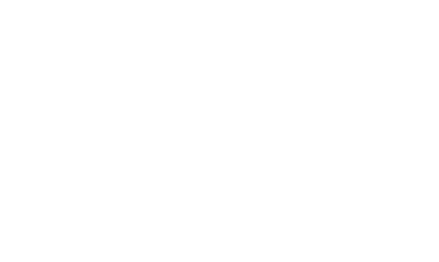 logo RVCA blanc