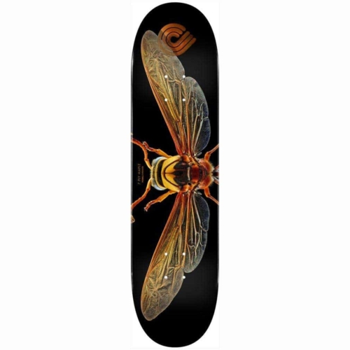 Planche de skateboard Powell Peralta Potter Wasp 247 deck 8.0″