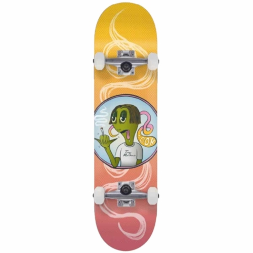Skateboard complet Toy Machine Stoner Sect Guts 8.5″