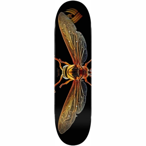 Planche de skateboard Powell Peralta Flight Biss Potter Wasp deck 8.0″