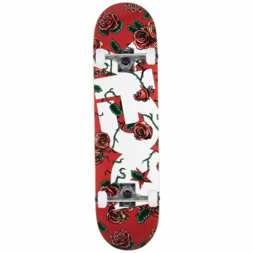 Skateboard complet DGK Bloom 7.5″