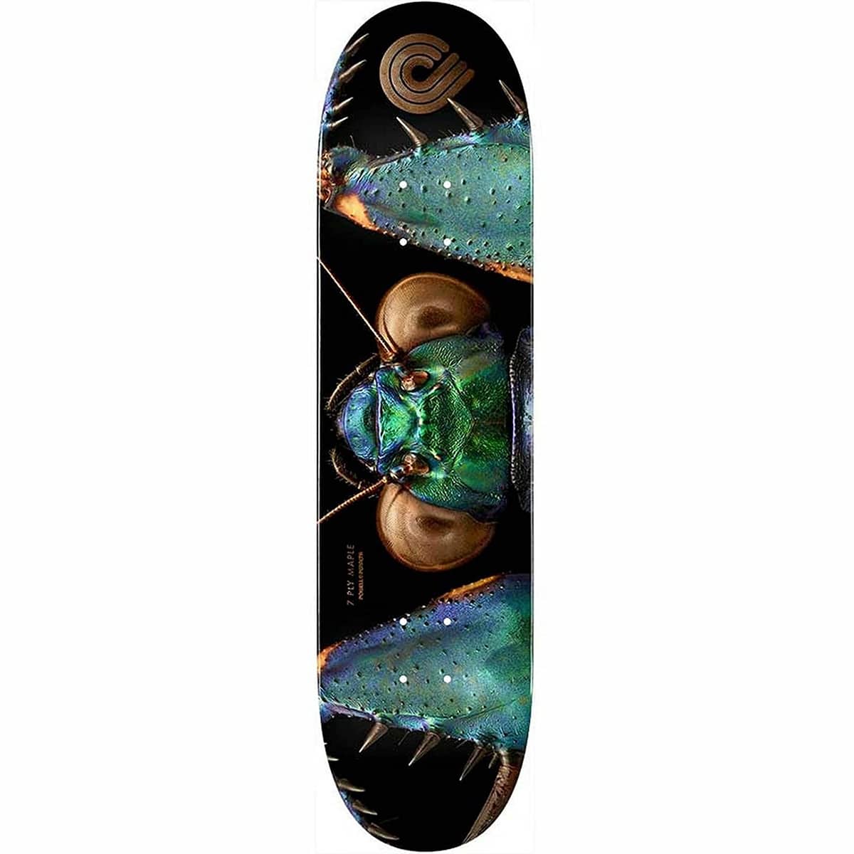 Planche de skateboard Powell Peralta Biss Bark Mantis deck 8.75″