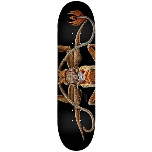 Planche de skateboard Powell Peralta Brad Mcclain Tiger II deck 8.25″