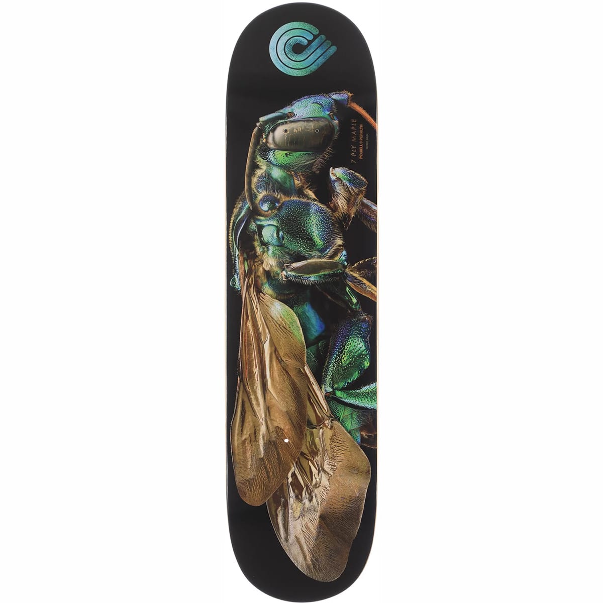 Planche de skateboard Powell Peralta Biss Orchid Cuckoo Bee deck 8.0″