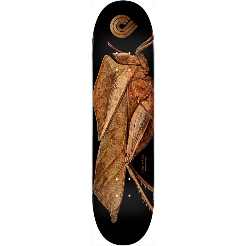 Planche de skateboard Powell Peralta Biss Leaf Grasshopper deck 8.5″