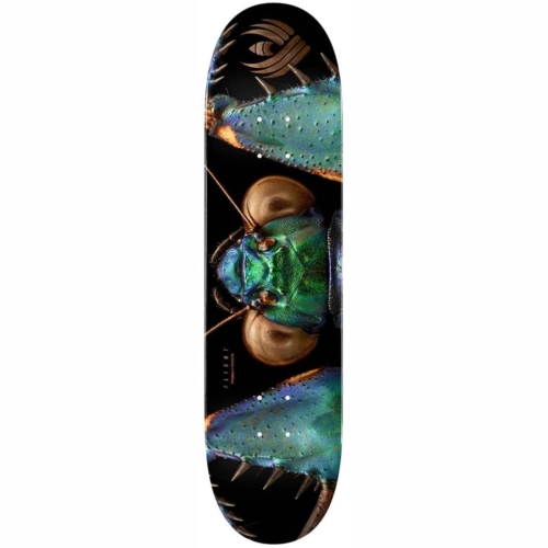 Planche de skateboard Powell Peralta Flight Biss Bark Mantis deck 8.75″