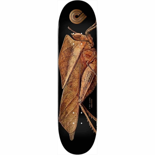 Planche de skateboard Powell Peralta Flight Biss Leaf Grasshopper deck 8.5″