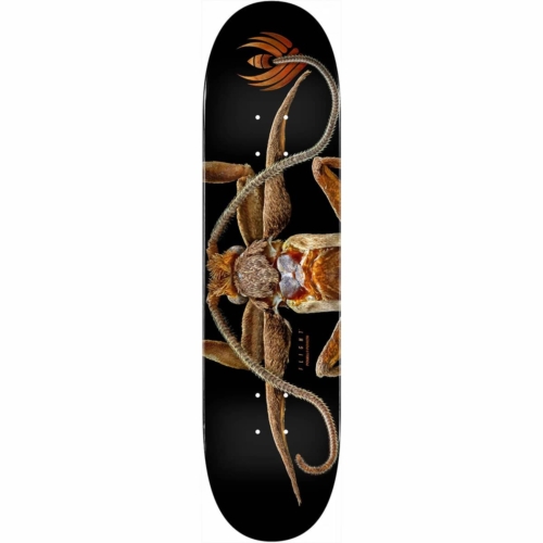 Planche de skateboard Powell Peralta Flight Biss Marion Moth deck 8.25″