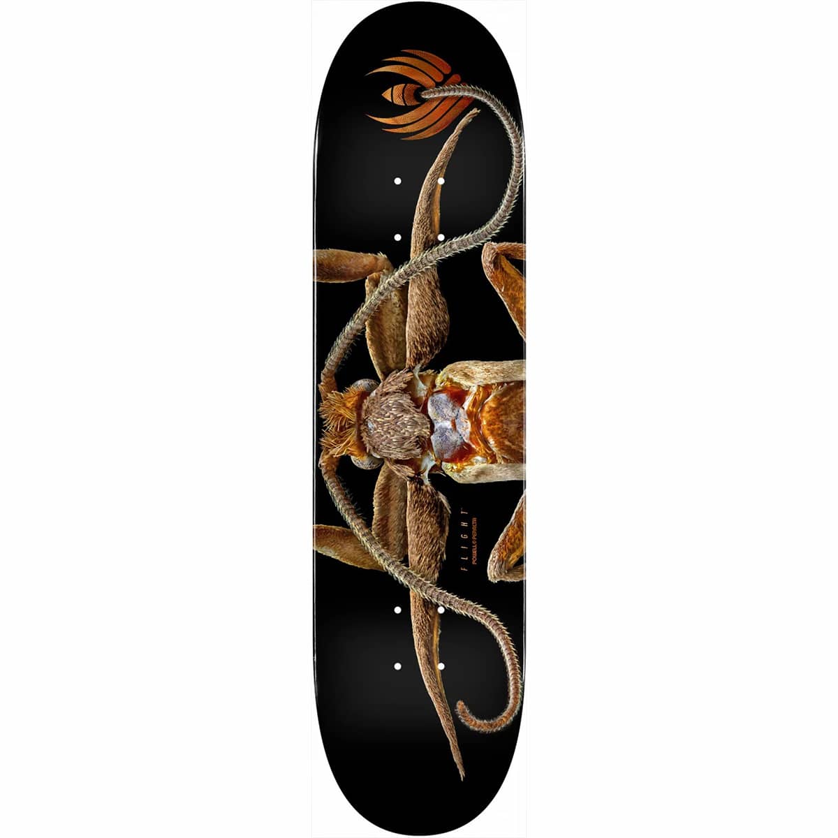 Planche de skateboard Powell Peralta Flight Biss Marion Moth deck 8.25″