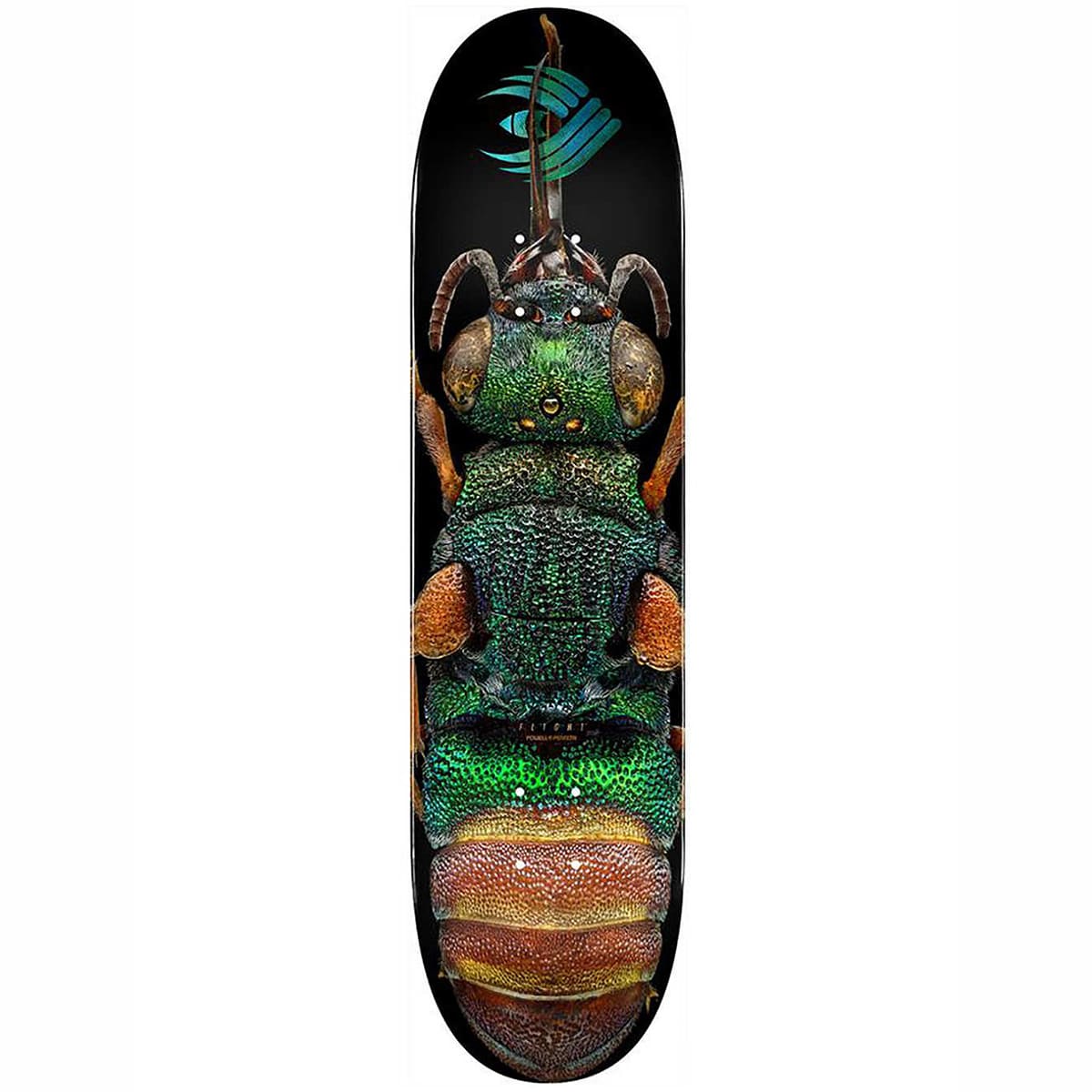 Planche de skateboard Powell Peralta Flight Biss Ruby Tailed Wasp deck 8.5″