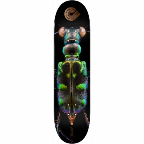 Powell Peralta Ps Biss Tiger Beetle 8 25 X 31 95 deck