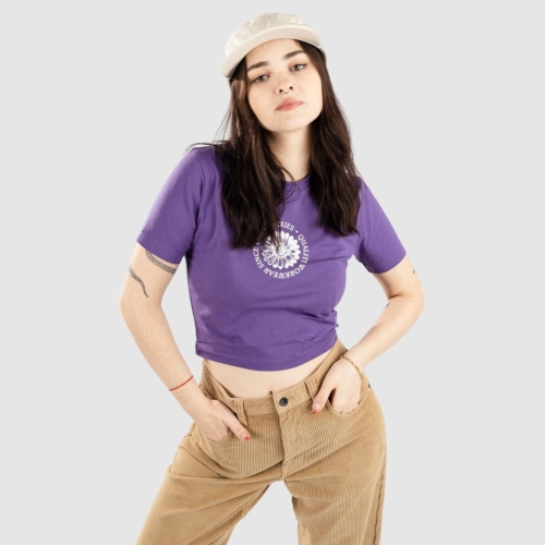 Dickies Garden Plain Imperial Palace T shirt manches courtes Femme