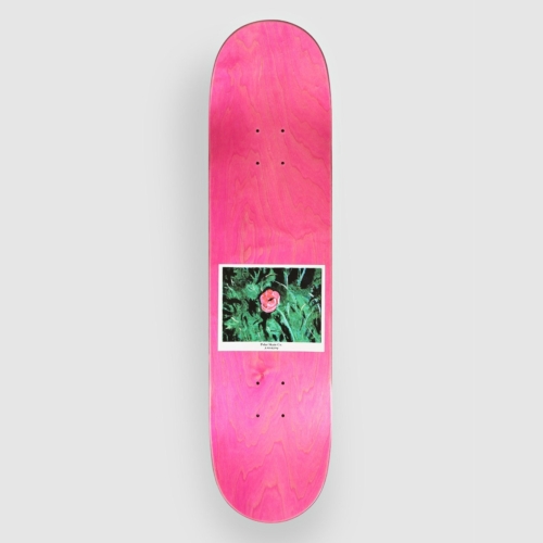 Polar Nick Boserio Amaryllis Deck Planche de skateboard 8 0 shape